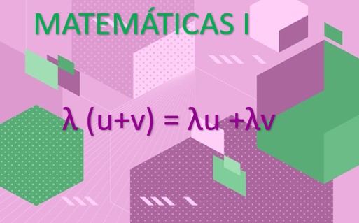 Matemáticas I (Química) Universidad de Salamanca - Academia Libreros